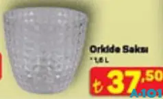 ORKİDE SAKSI 1,5 L ORKİDE SAKSI 1,5 L